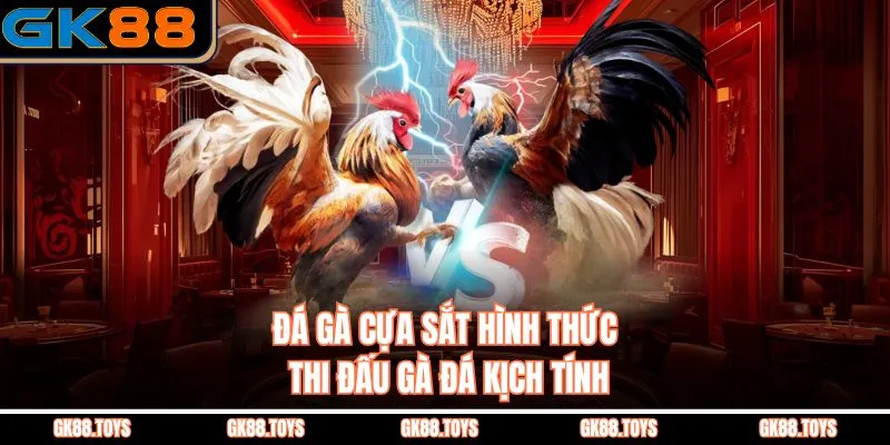 Đá Gà Cựa Sắt là hình thức thi đấu đầy kịch tính